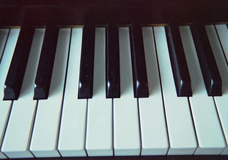 Teclas de um teclado musical fotografadas de perto