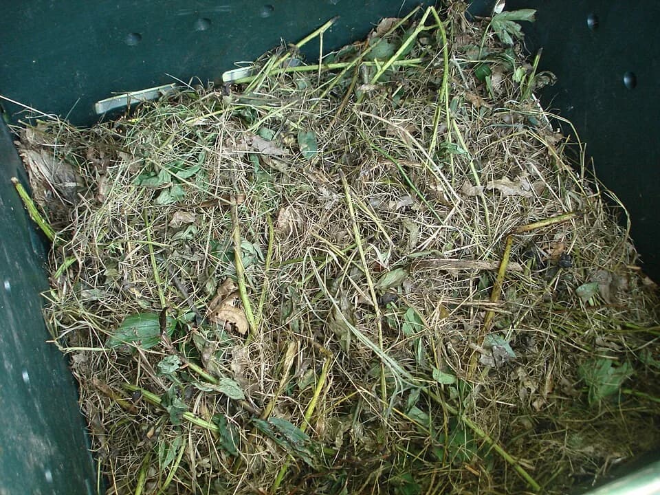 Composto orgânico em recipiente para representar substrato de plantio