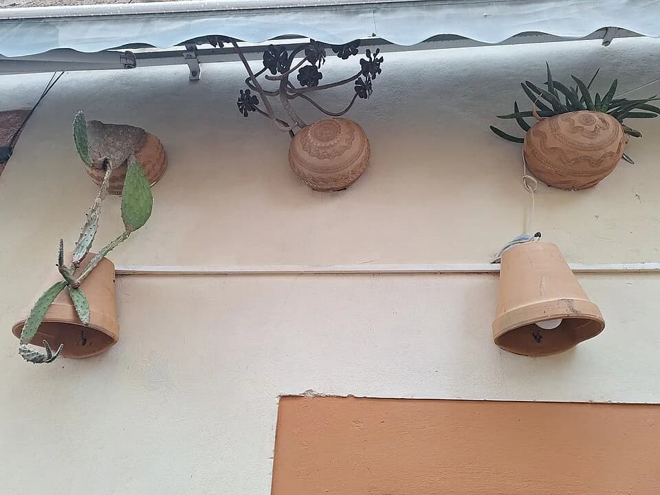 Vasos de terracota com plantas pendentes em uma parede clara