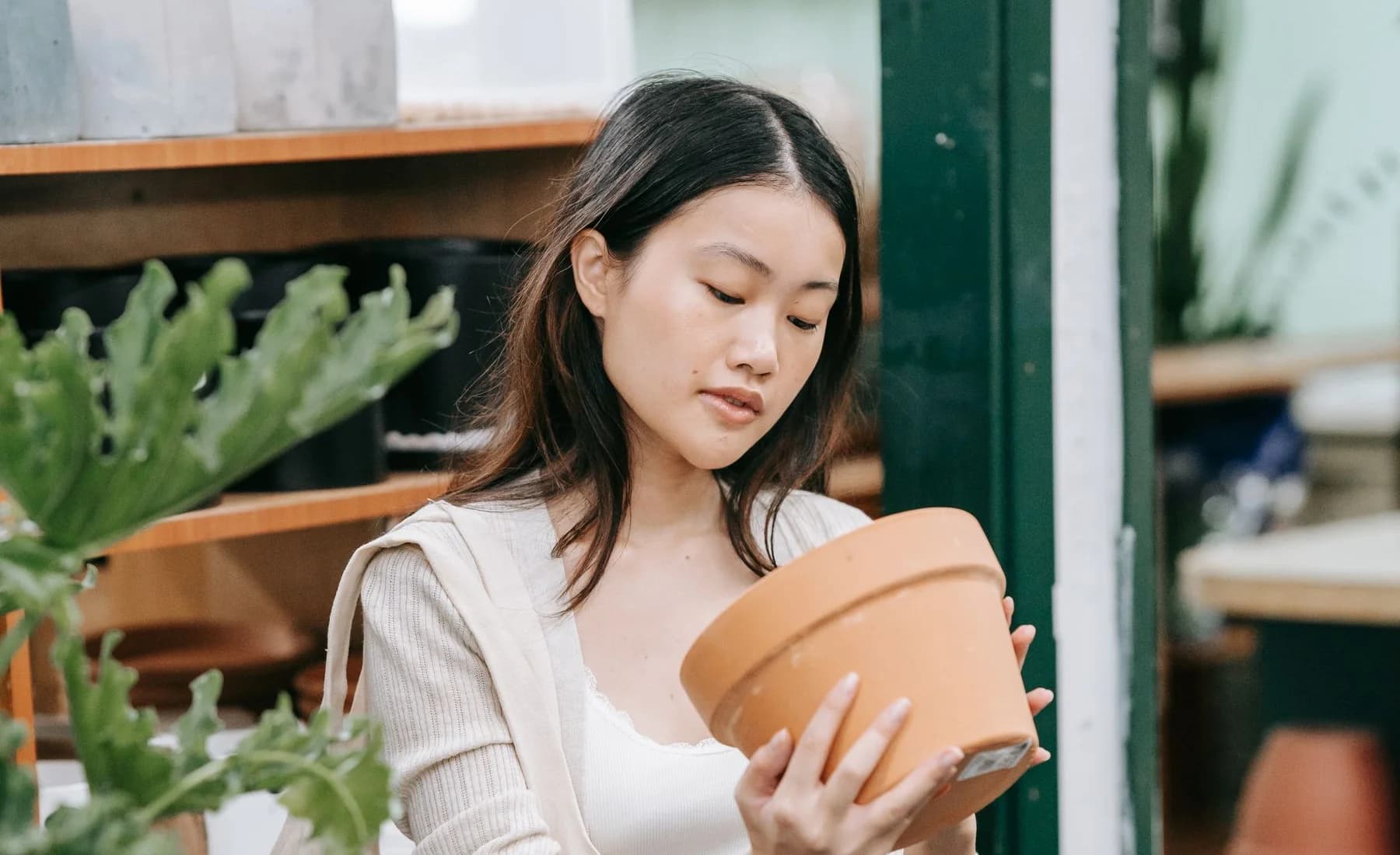 Cliente escolhendo um vaso entre plantas e insumos expostos em uma loja de jardinagem
