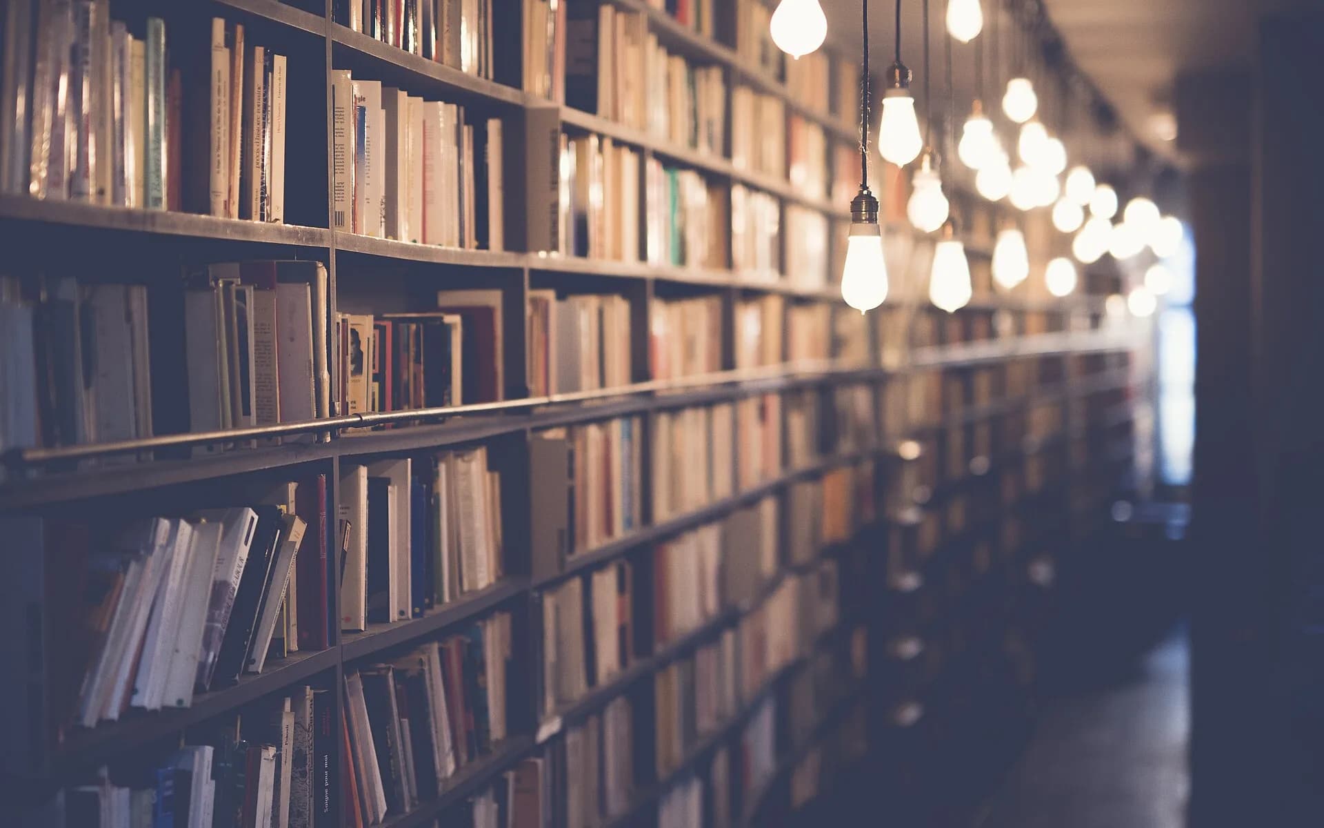 Estantes cheias de livros em um interior de livraria sem letreiros dominantes