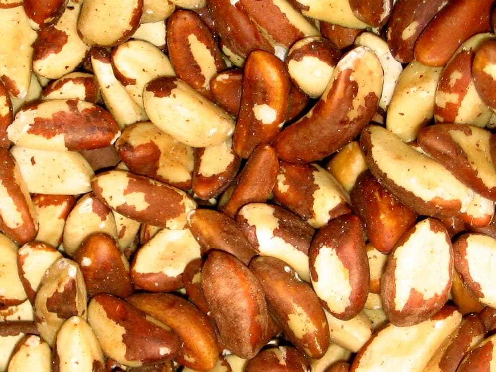 Castanhas-do-pará inteiras em close