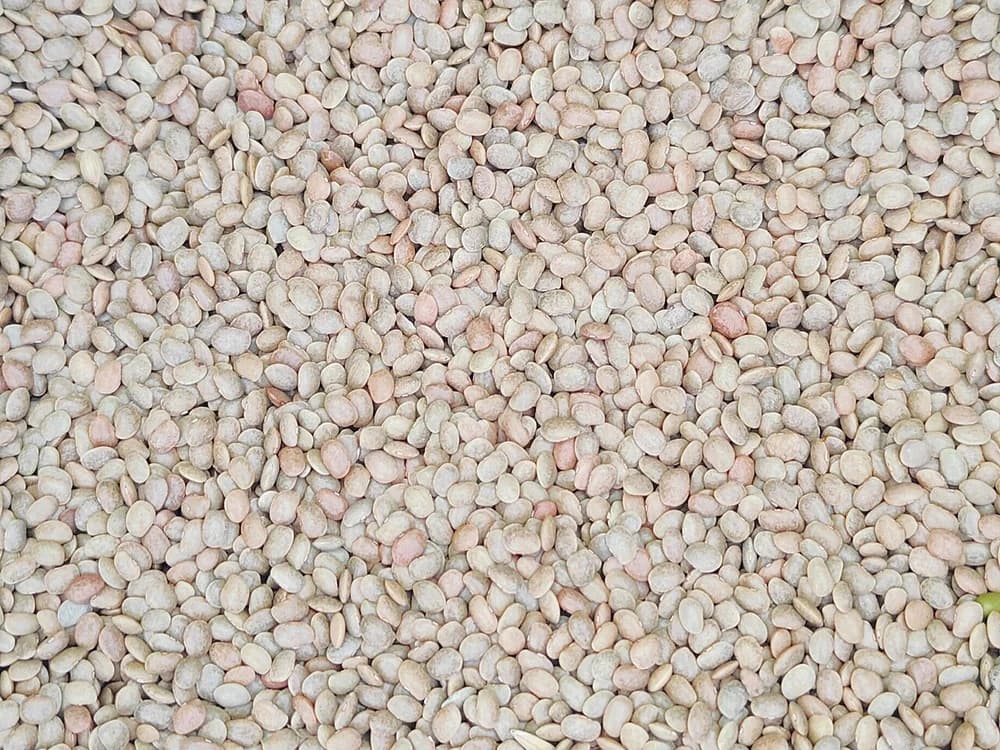 Sementes de chia claras em uma superfície neutra