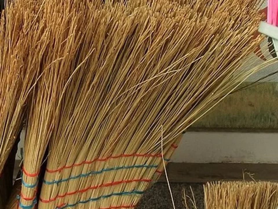 Família de vassouras de fibras e cerdas coloridas expostas lado a lado