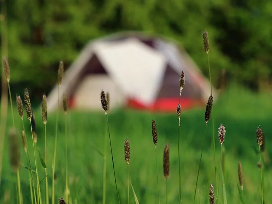 Barraca de camping montada em uma área gramada
