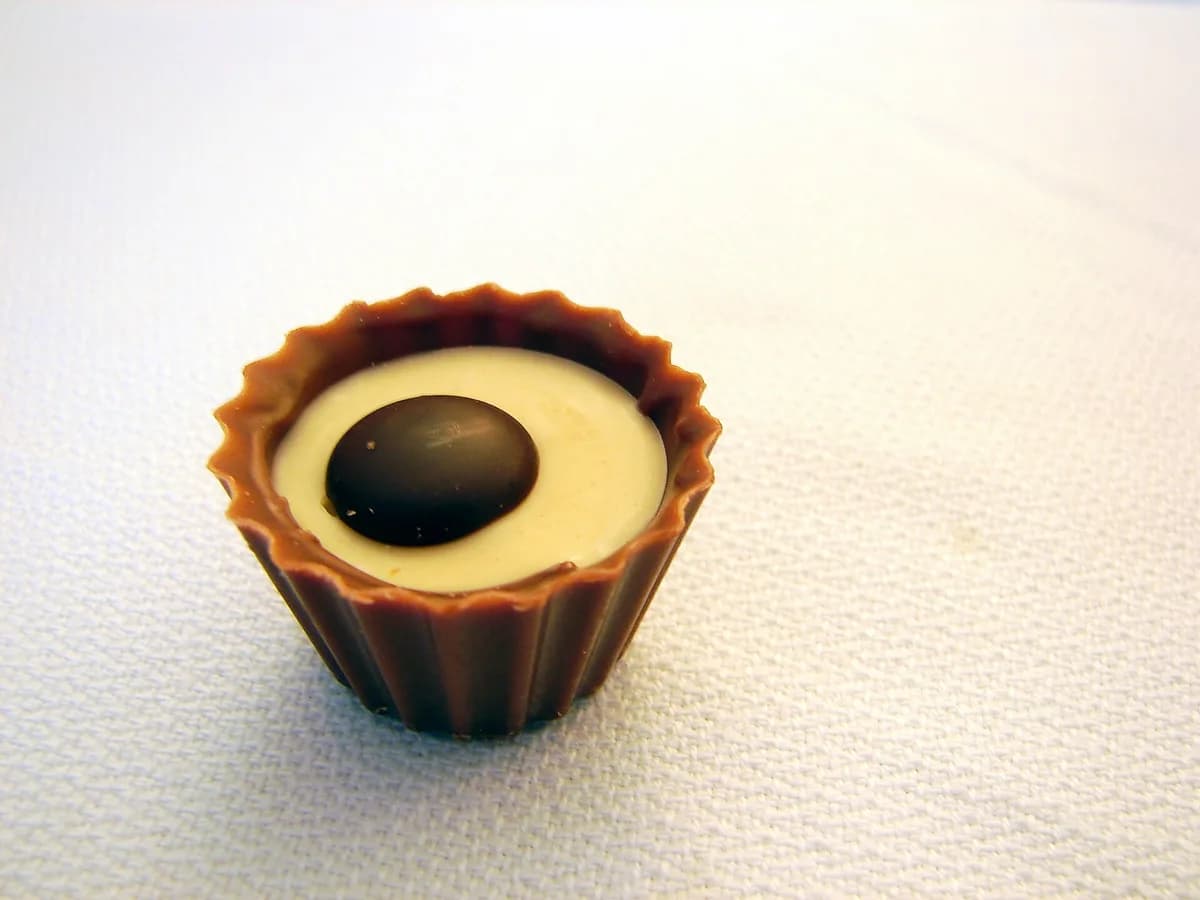 Bombom de chocolate recheado com creme em close sobre fundo neutro