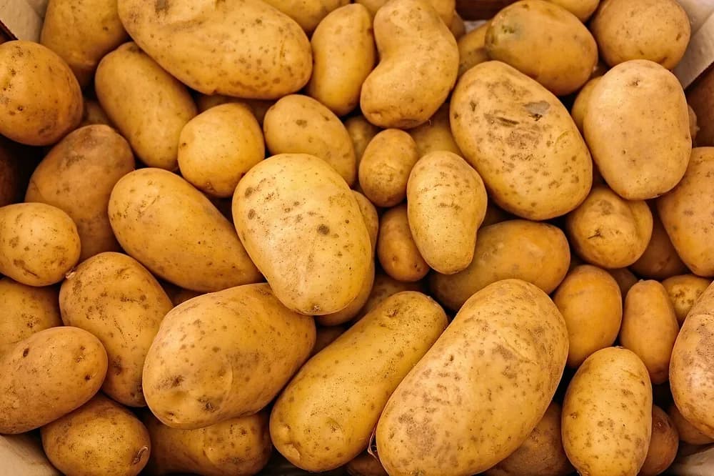 Batatas de tamanhos variados empilhadas em uma caixa
