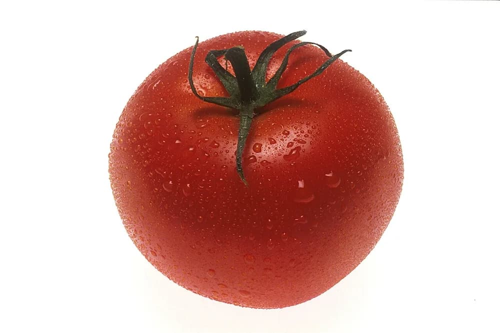 Tomate vermelho maduro com folhas e gotas de água