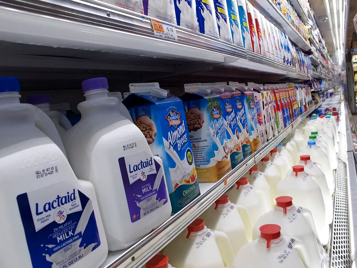 Garrafas e embalagens de leite organizadas em prateleira refrigerada