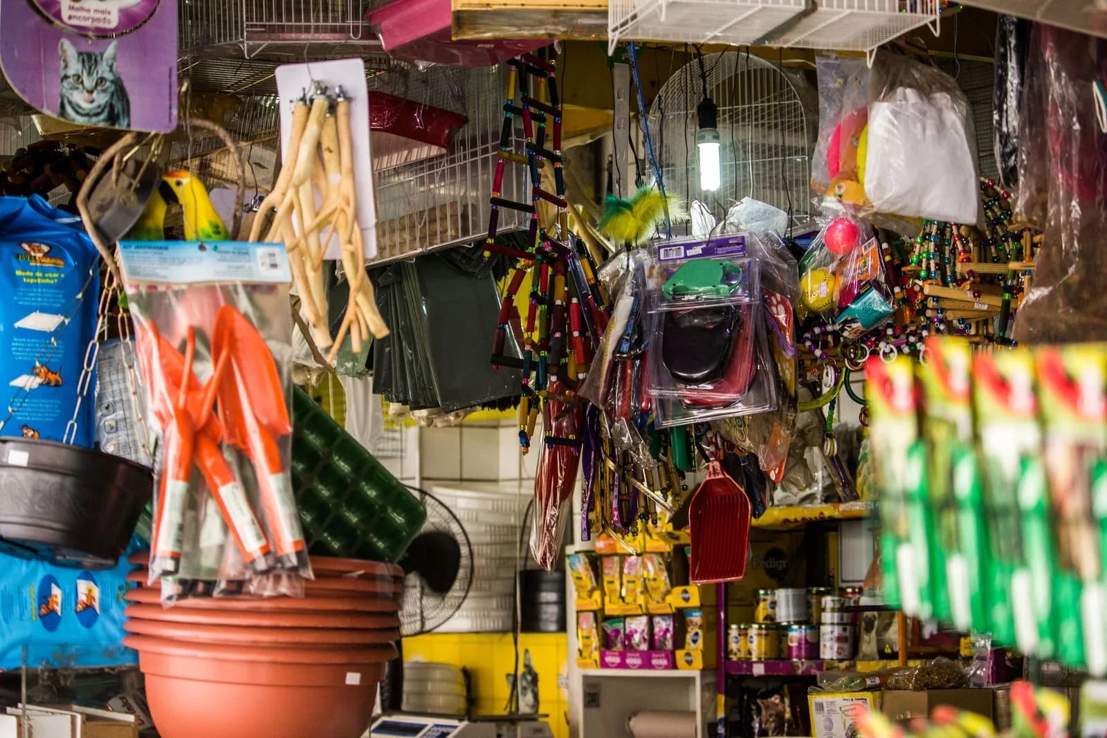Prateleiras de pet shop com acessórios, brinquedos e produtos para animais sem letreiro visível