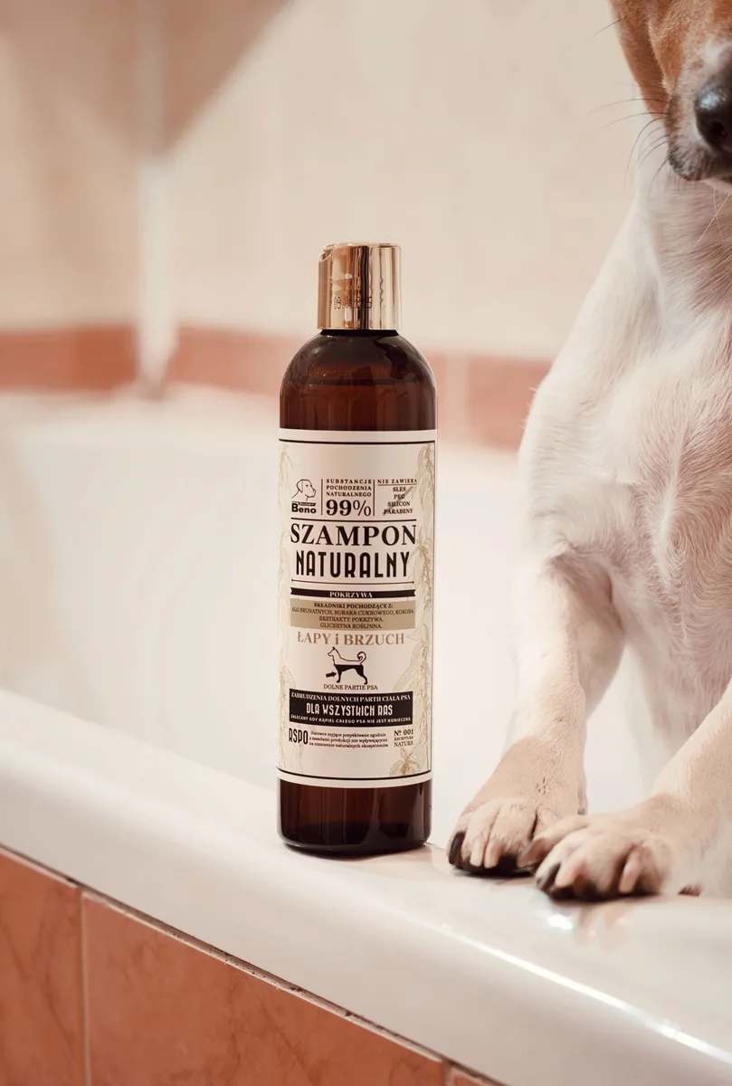 Frasco de shampoo para cachorro ao lado de um cão em uma banheira doméstica